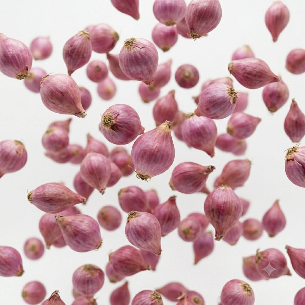 Premium shallots for restaurants, food manufacturers, and wholesale distribution.